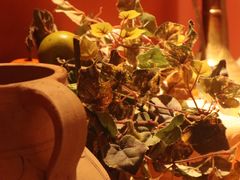 -纳瓦新疆菜(银都店)