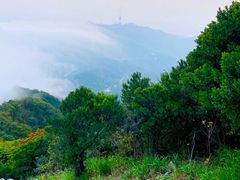 -梧桐山风景名胜区