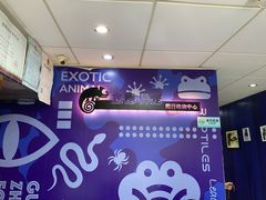 -立德动物医院·异宠·CT·鹦鹉(天河店)