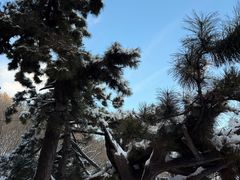 -九鼎铁刹山风景区