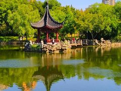 -和平公园