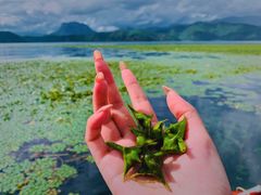 -丽江泸沽湖景区