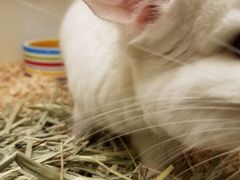 -龙猫仔乐园(惠福东路店)