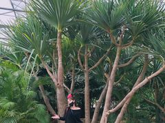 -南通洲际绿博园