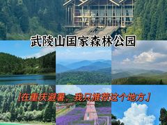 -武陵山森林公园