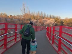 -阿尔丁植物园