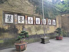-普陀山风景区-佛顶山