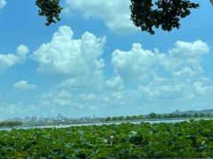 -杭州西子湖四季酒店·金沙厅