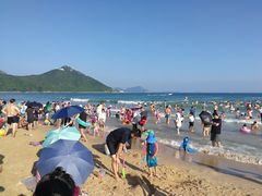 -西涌国际滨海旅游区