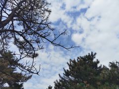 -绿堤公园