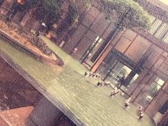 -上海崇明金茂凯悦酒店