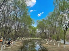 -长白岛森林公园