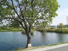 -良渚古城遗址公园