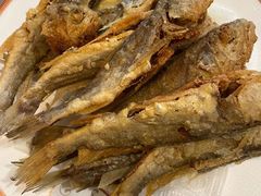 -大班家政月嫂育儿嫂(总部店)