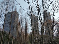 -后襄河公园