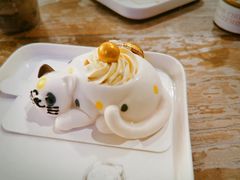 -猫小院猫主题餐厅(南锣旗舰店)