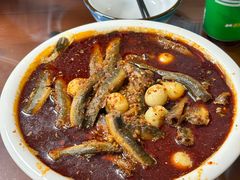 -正兴岷江春泥鳅