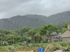 -桃花岛风景旅游区