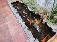 景观位-水乡人家