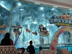 -帝企鹅自助餐厅•儿童岛•真企鹅(长隆企鹅酒店)