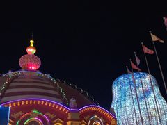 -俄罗斯国家大马戏团