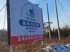 -金石滩蓝莓谷庄园