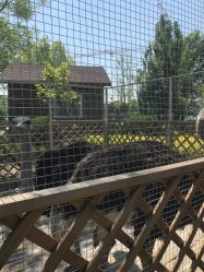 -萌宠亲子动物乐园(槐房万达店)