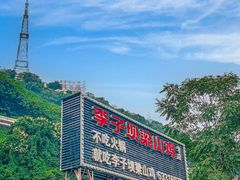 -李子坝梁山鸡(李子坝大鸡哥店)