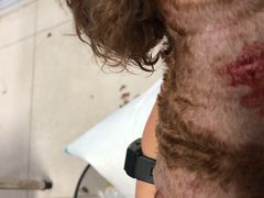 -瑞派福兴宠物医院犬猫全科·骨科·中西医结合(河东店)