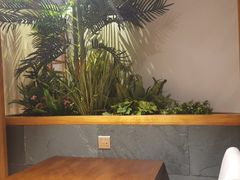 -十二舍·湯物素煮(江泰潤政店)