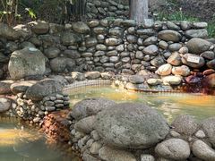 -三江森林温泉度假区