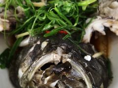 -众味海鲜大排档·活海鲜·潮汕味(南澳店)