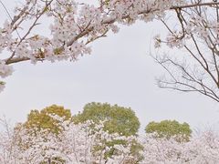 -上海山野camping·户外天幕烧烤·团建拓展营地