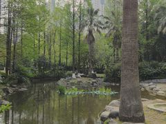 -苏州河梦清园环保主题公园