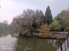 -二一九公园