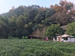 -杭州西湖风景名胜区-三生石