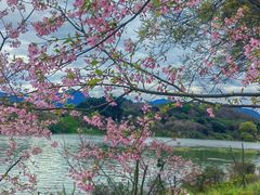 -福建鲤鱼洲酒店