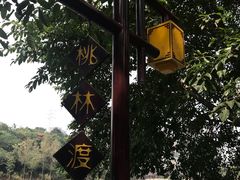 -重庆彩云湖湿地公园