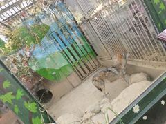-南宁市动物园