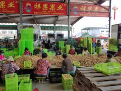 -东方鼎信农副产品交易中心