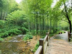 -天目湖御水温泉·度假酒店