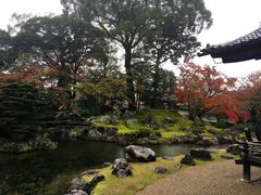 -醍醐寺