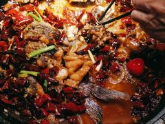 -老板恋上鱼(恒隆广场店)