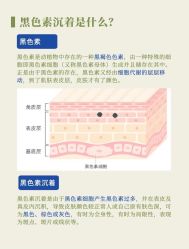 点击看大图 -玛莲朵·海菲秀冰珀科