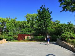 -昆山城市生态森林公园