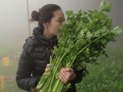 -大自然农场蔬菜草莓采摘园