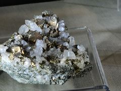 -中国地质博物馆