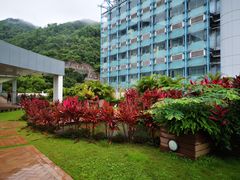 -香港大学
