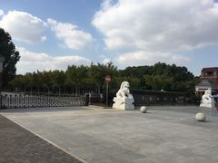 -华东政法大学(松江校区)