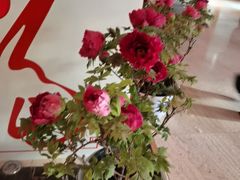 -洛阳宴·洛阳菜(南昌路店)